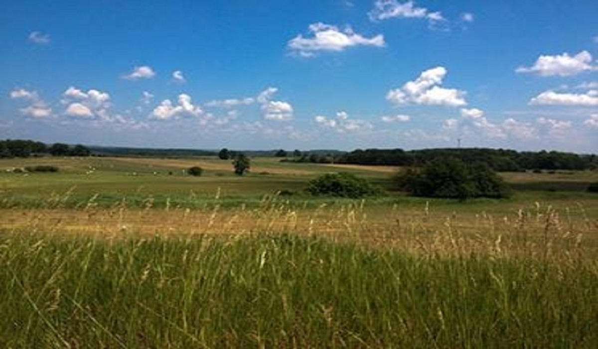  شراء الأرض في المنام