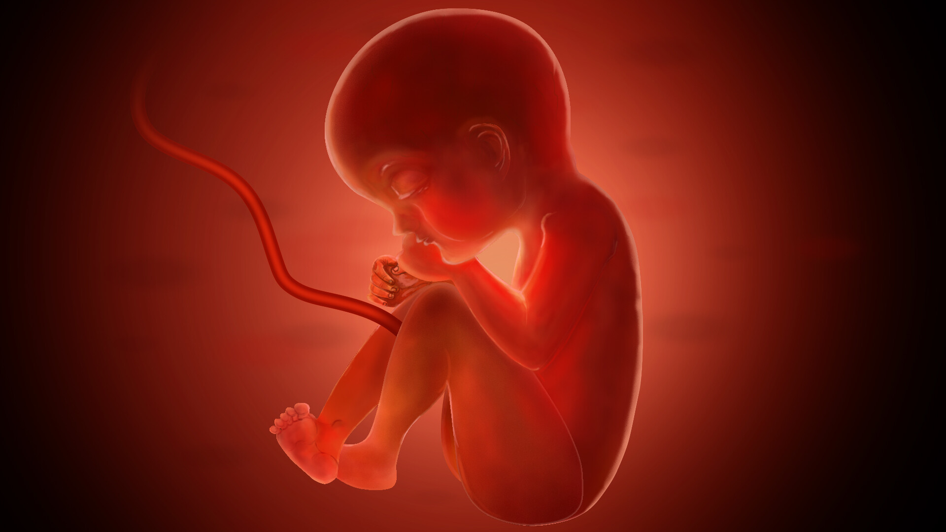 كيف تحس الحامل بحركة الجنين في الشهر الرابع؟