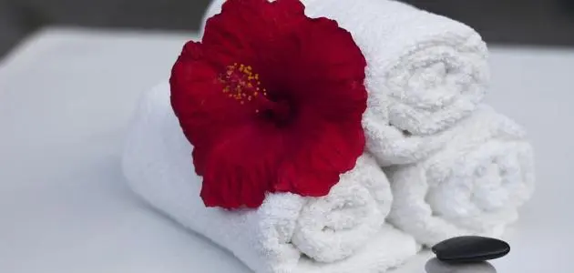  حلمت ان الدورة جتني وانا حامل ورؤية فوطة الدورة الشهرية في المنام للحامل