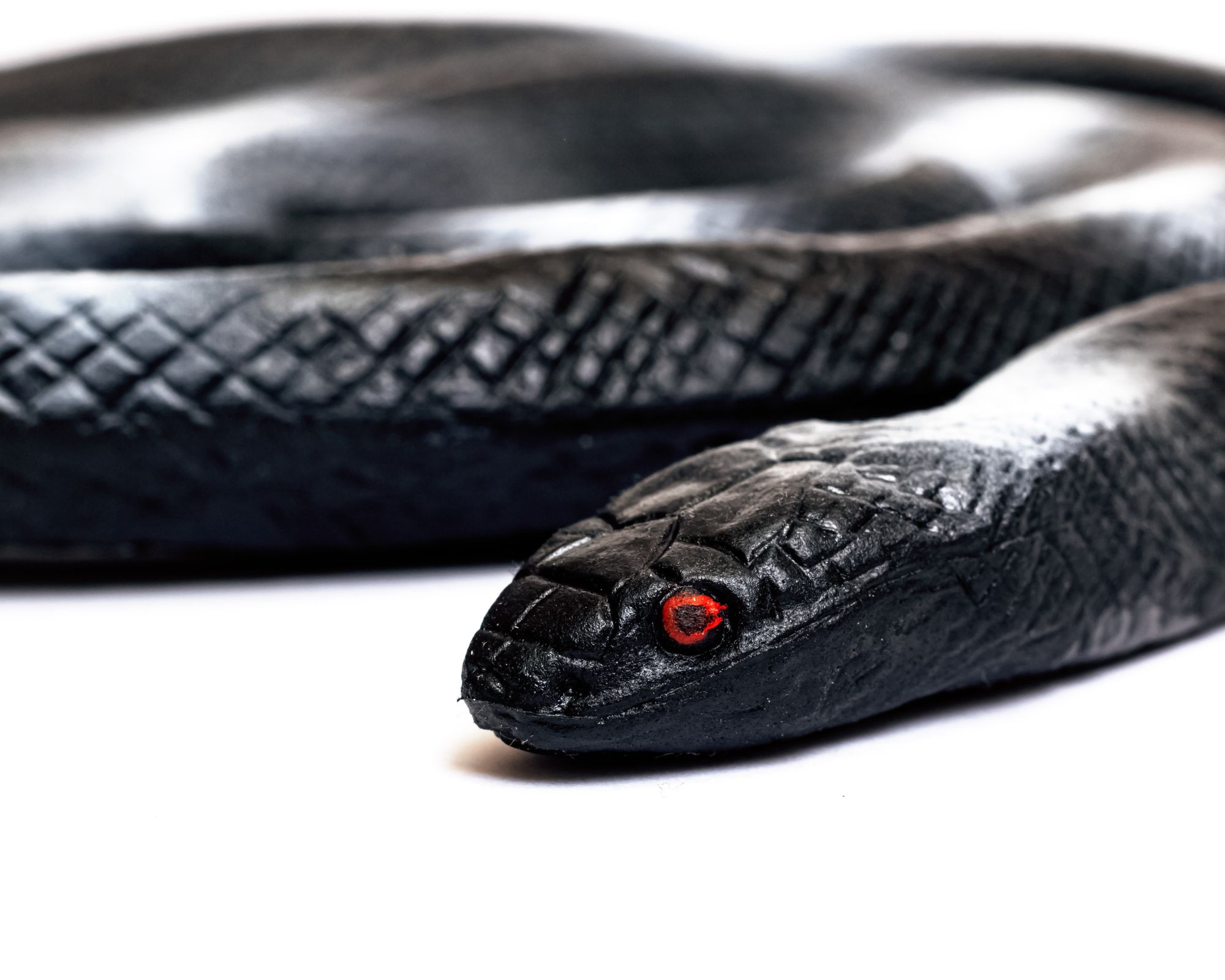 ما هو تفسير رؤية الثعبان في المنام للرجل لابن سيرين؟