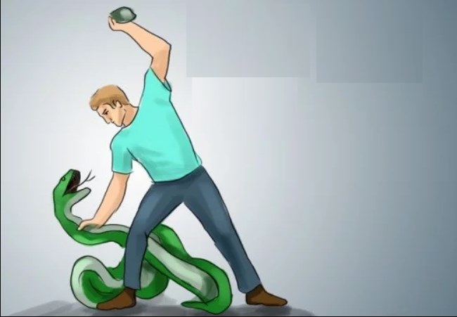 تفسير حلم قتل ثعابين لابن سيرين