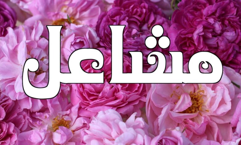 معنى اسم مشاعل في المنام