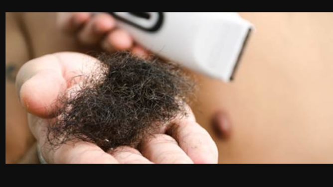 تفسير حلم شعر العانة لابن سيرين وكبار المفسرين