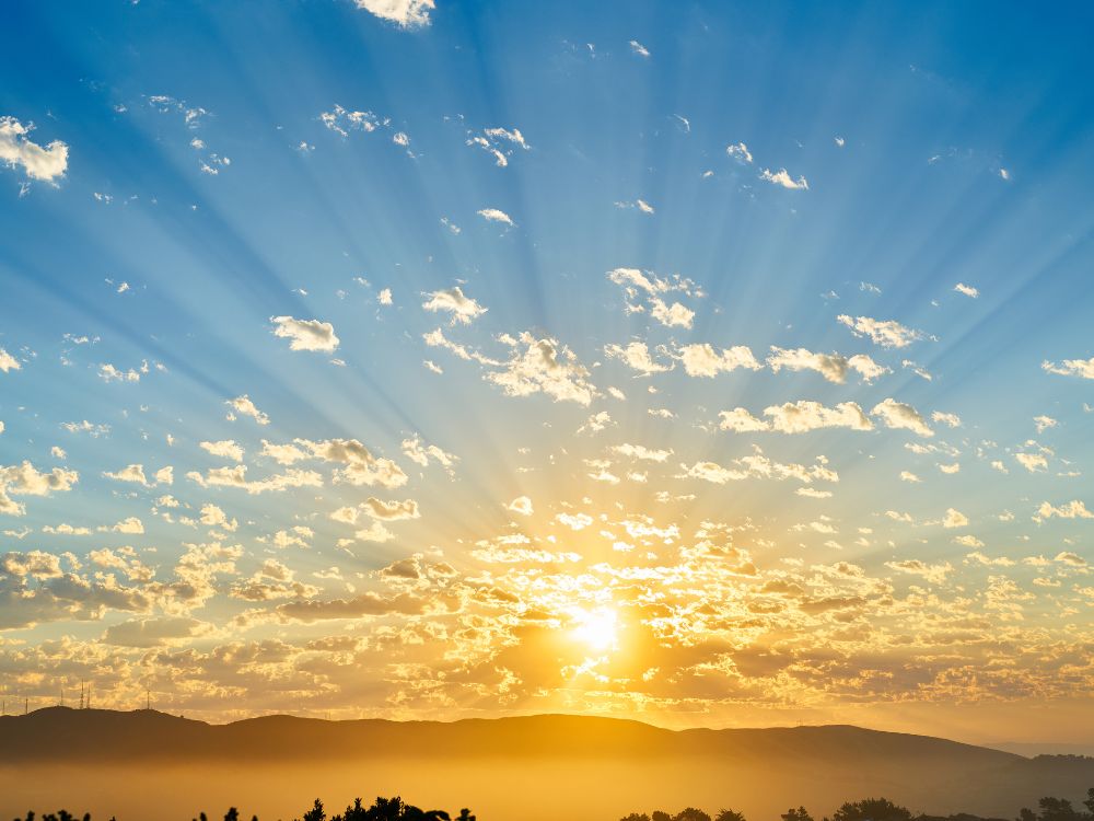 اعرف أكثر عن تفسير حلم رؤية الشمس تشرق من الغرب لابن سيرين